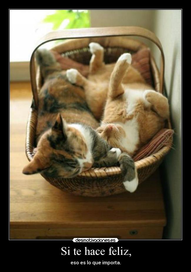 Si te hace feliz, - eso es lo que importa.