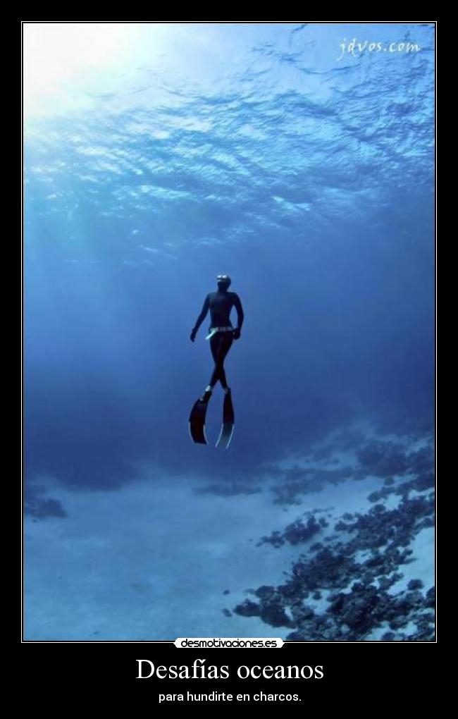 carteles kouxz desmotivaciones