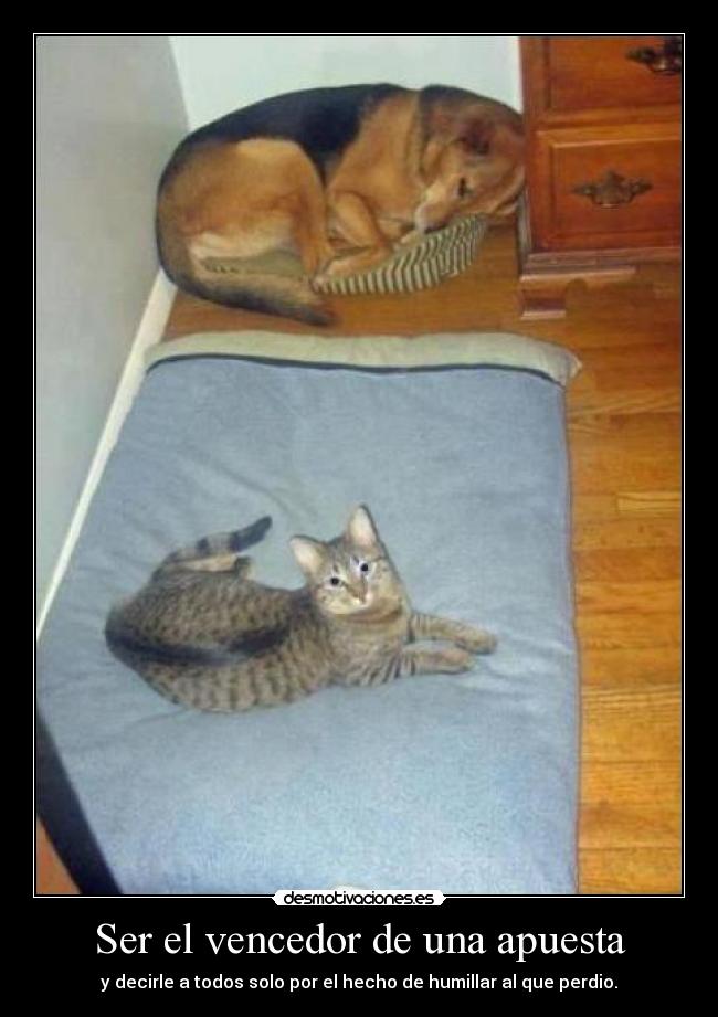 Ser el vencedor de una apuesta - y decirle a todos solo por el hecho de humillar al que perdio.