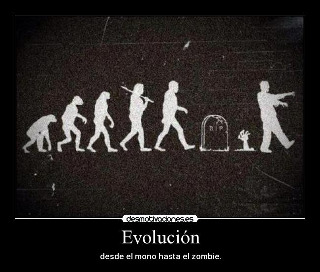 Evolución -