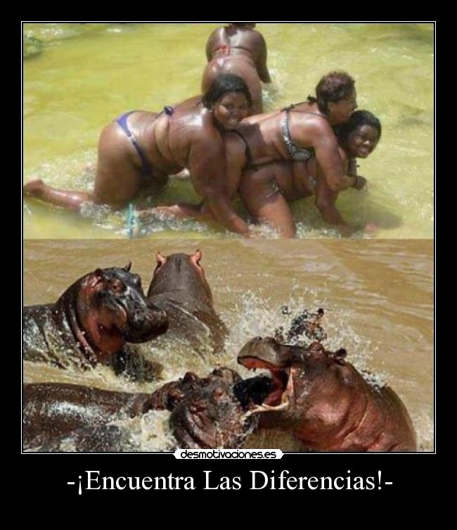 -¡Encuentra Las Diferencias!- - 