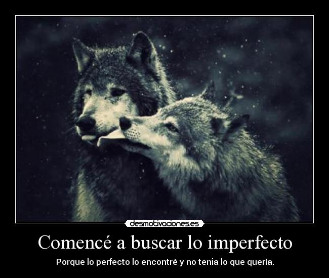 Comencé a buscar lo imperfecto - Porque lo perfecto lo encontré y no tenia lo que quería.
