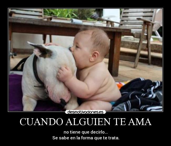 carteles lindos desmotivaciones