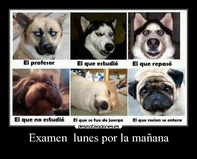 Examen lunes por la mañana -