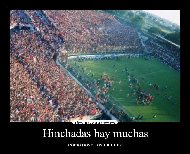 Hinchadas hay muchas - 