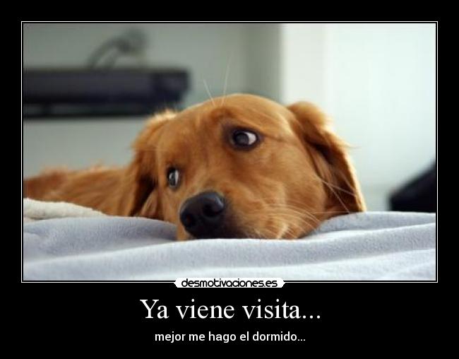 Ya viene visita... - mejor me hago el dormido...
