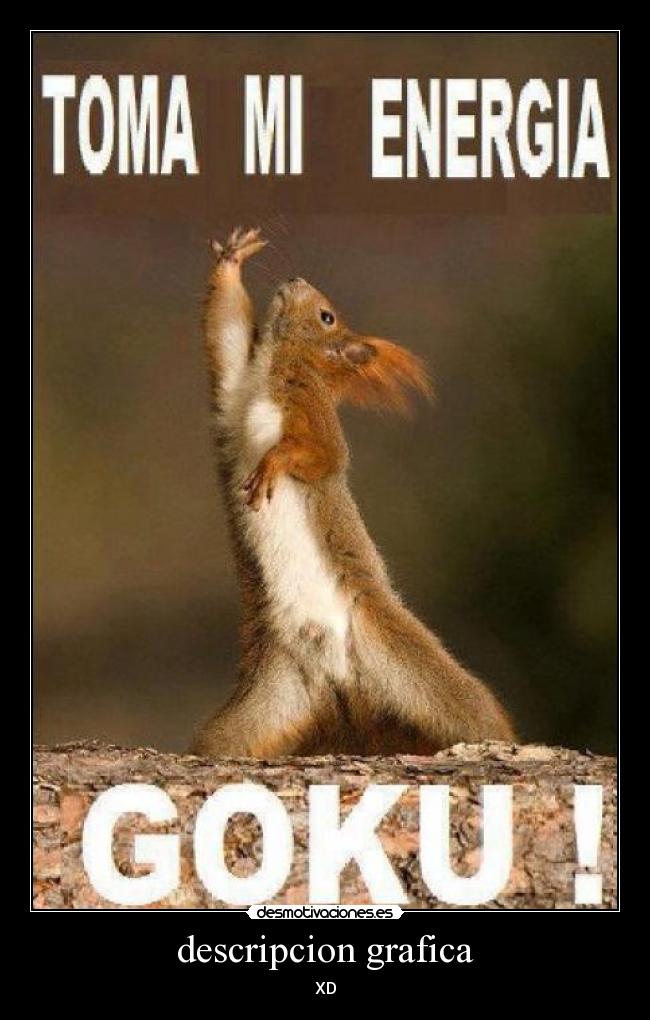 descripcion grafica - 