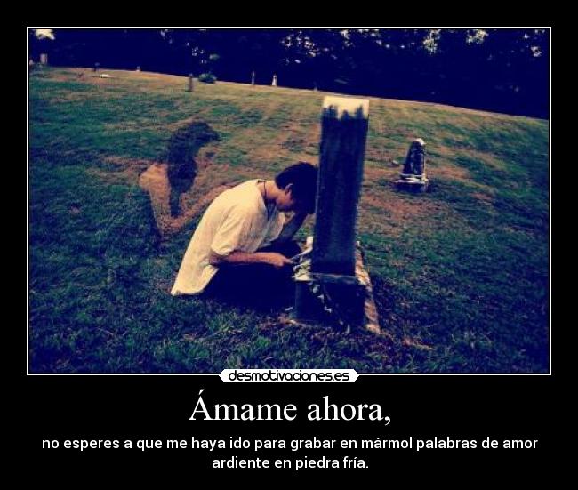 carteles amame desmotivaciones