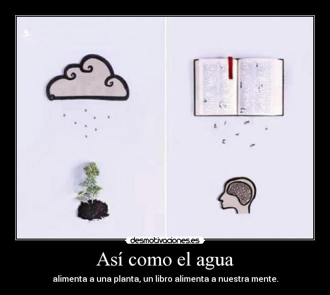 Así como el agua - alimenta a una planta, un libro alimenta a nuestra mente.