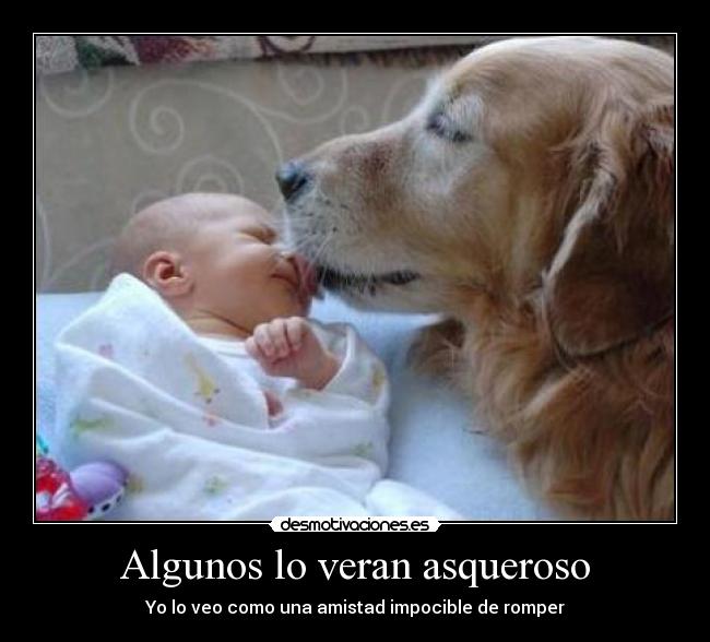 Algunos lo veran asqueroso - Yo lo veo como una amistad impocible de romper