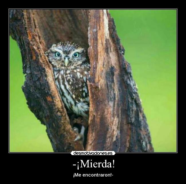 -¡Mierda! - ¡Me encontraron!-