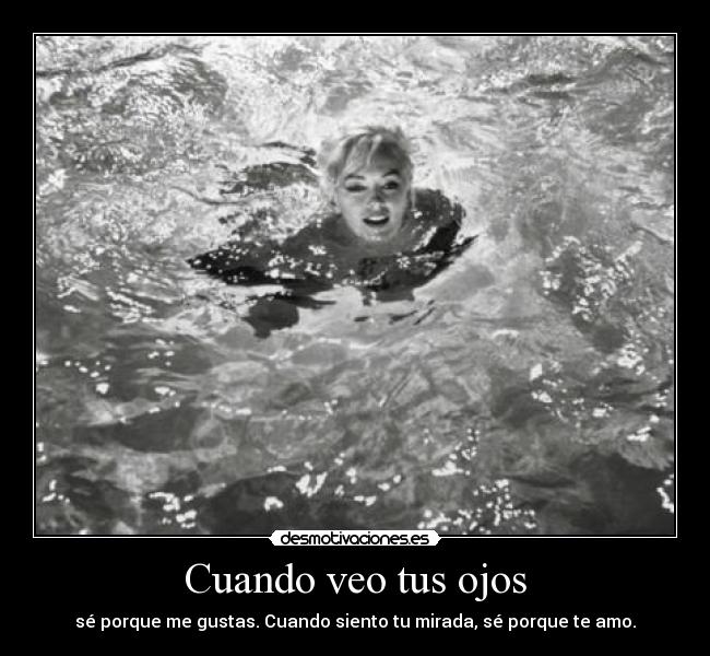 carteles apoyo julian assange marilyn monroe picture revolution imagine dragons desmotivaciones