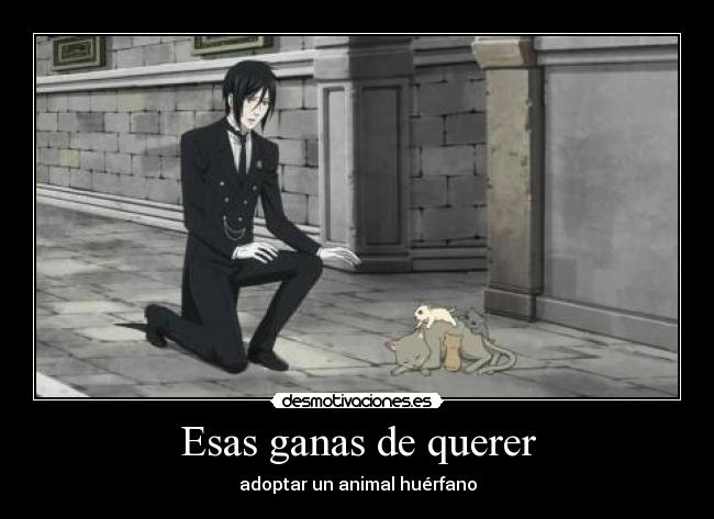 Esas ganas de querer - adoptar un animal huérfano