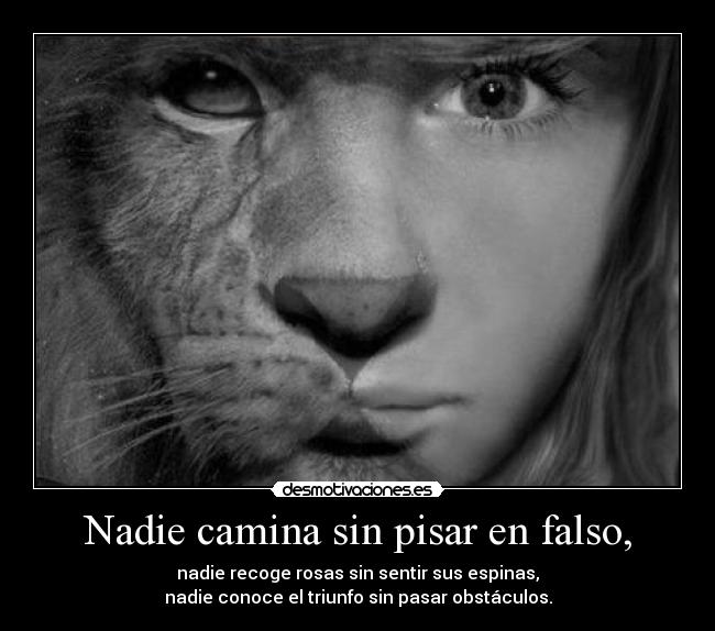 Nadie camina sin pisar en falso, -