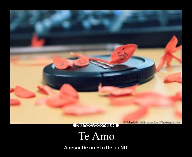 Te Amo - Apesar De un SI o De un NO!