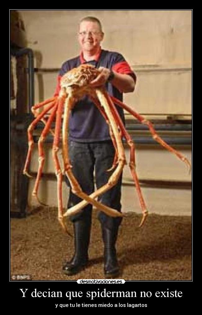 carteles super desmotivaciones