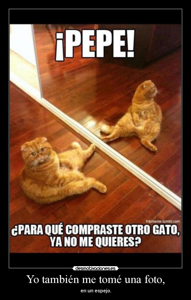 Yo también me tomé una foto, - en un espejo.