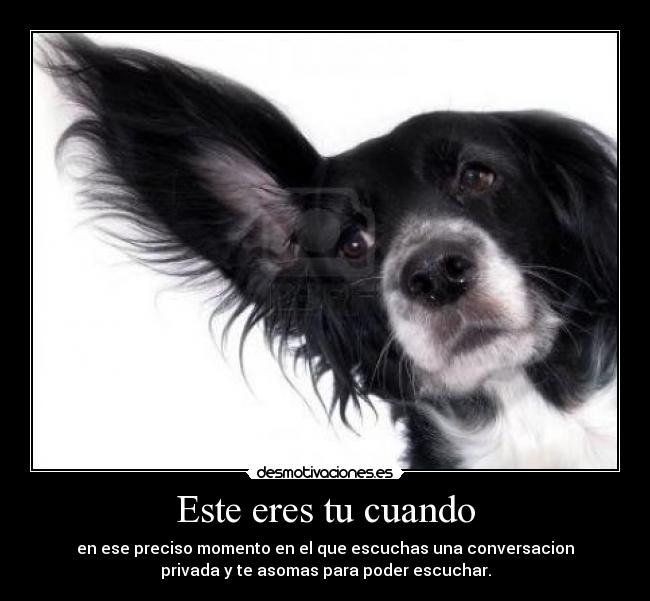 Este eres tu cuando -