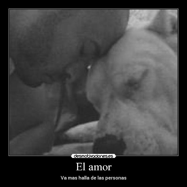 carteles amor ivylove desmotivaciones