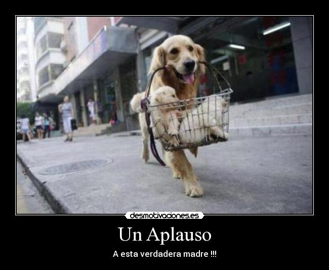 Un Aplauso -