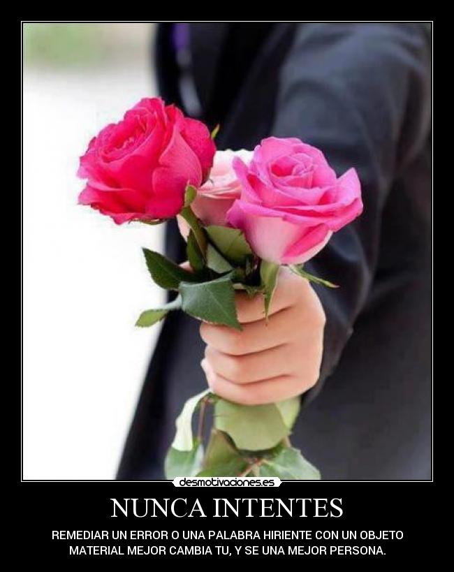 carteles rosas forma pensar imagenes para hombres saber valorar etc desmotivaciones