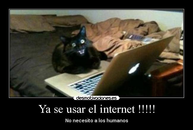 Ya se usar el internet !!!!! - No necesito a los humanos