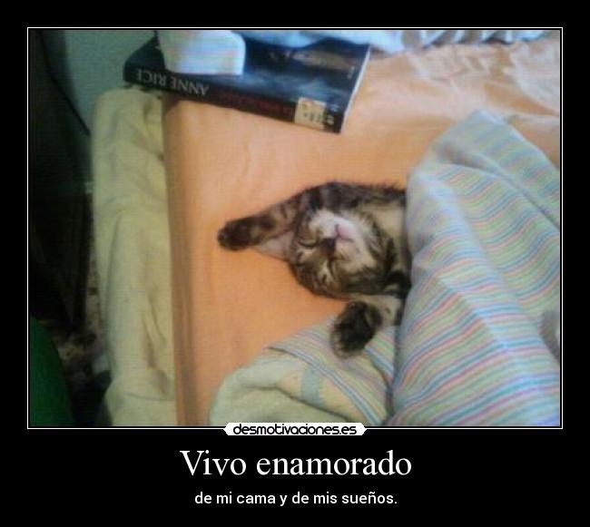 Vivo enamorado - de mi cama y de mis sueños.