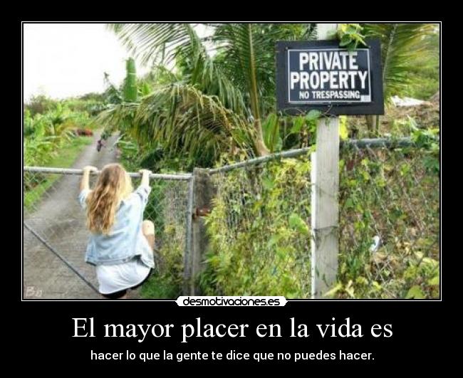 carteles vida mayor placer vida desmotivaciones