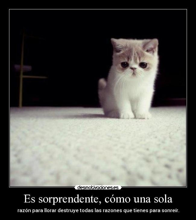 Es sorprendente, cómo una sola - 