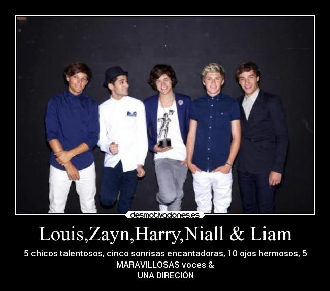 carteles one direction desmotivaciones