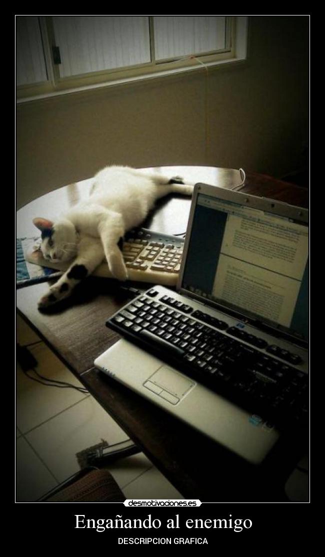 Engañando al enemigo -