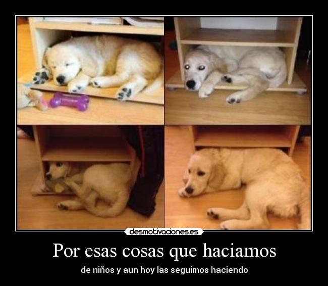 im-genes-y-carteles-de-bgbgb-desmotivaciones
