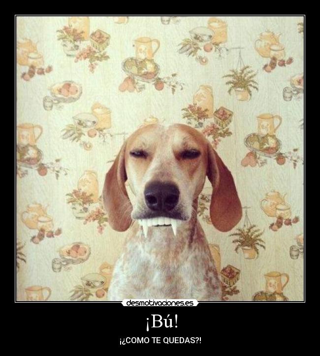 ¡Bú! - ¡¿COMO TE QUEDAS?!