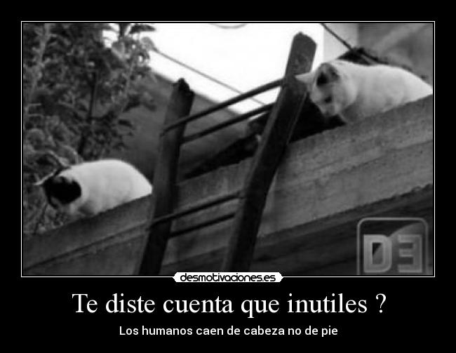 carteles ccdcc desmotivaciones