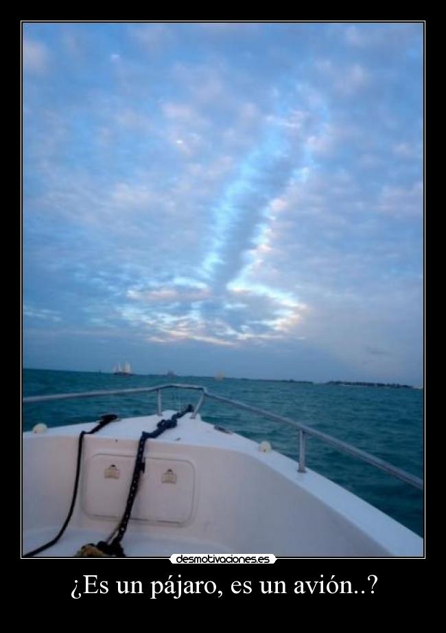 ¿Es un pájaro, es un avión..? -