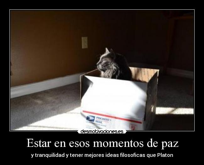 carteles vfvfv desmotivaciones