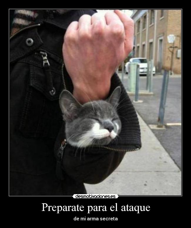 Preparate para el ataque -