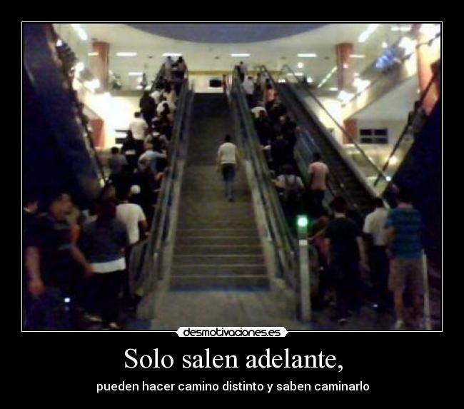 carteles bnbnbn desmotivaciones