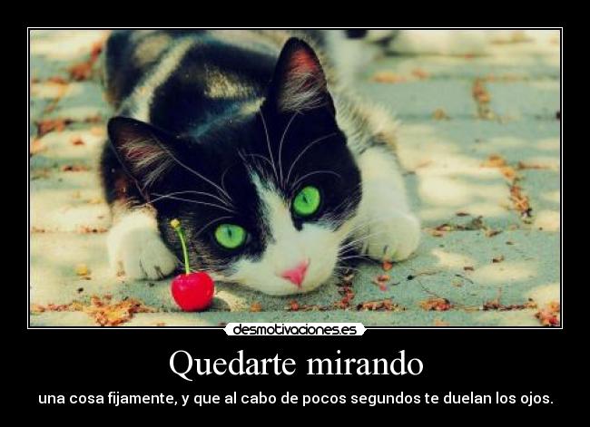 Quedarte mirando -