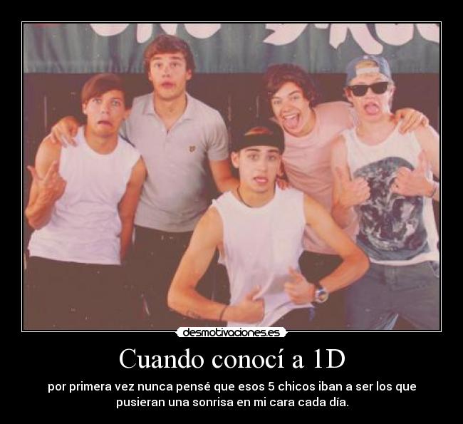Cuando conocí a 1D - por primera vez nunca pensé que esos 5 chicos iban a ser los que
pusieran una sonrisa en mi cara cada día.
