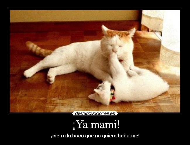 carteles desmotiva gatos que banan desmotivaciones