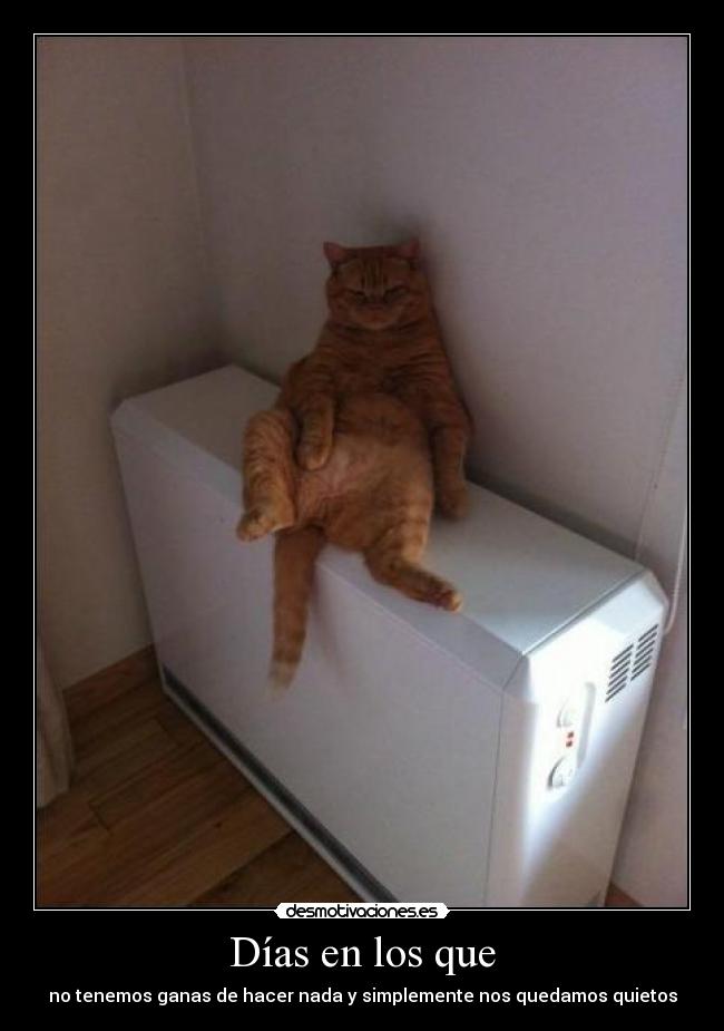 Días en los que - no tenemos ganas de hacer nada y simplemente nos quedamos quietos