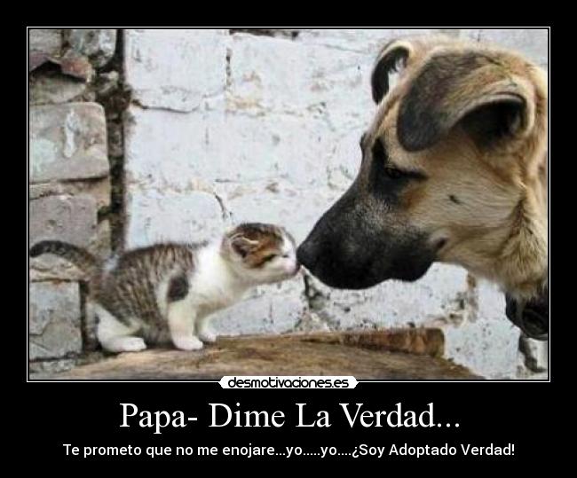 Papa- Dime La Verdad... -