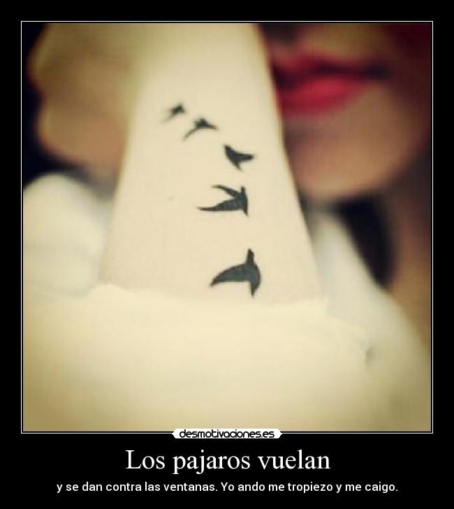 Los pajaros vuelan - y se dan contra las ventanas. Yo ando me tropiezo y me caigo.