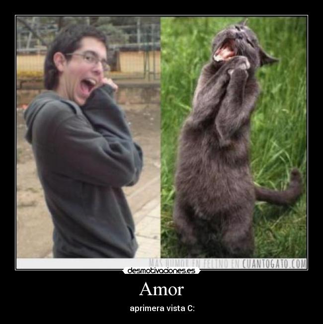 Amor - 