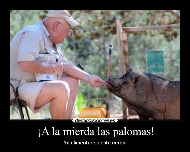 carteles mierda las palomas aguante babe desmotivaciones