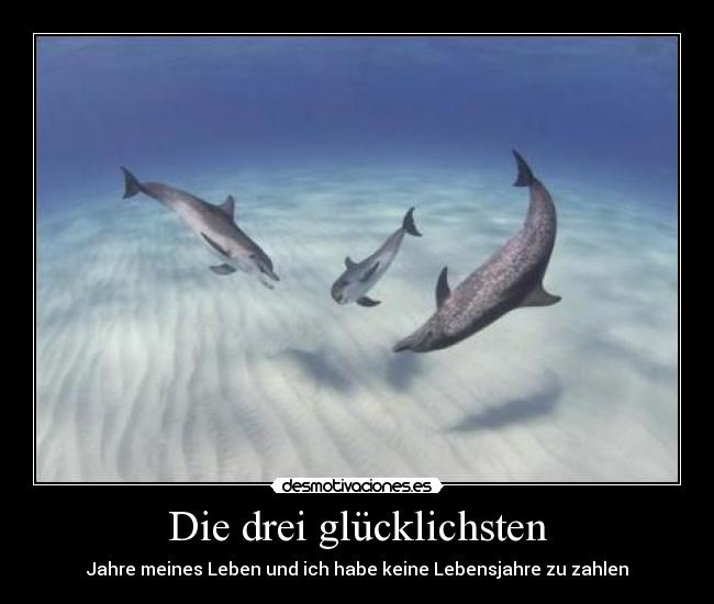 carteles eften drei desmotivaciones