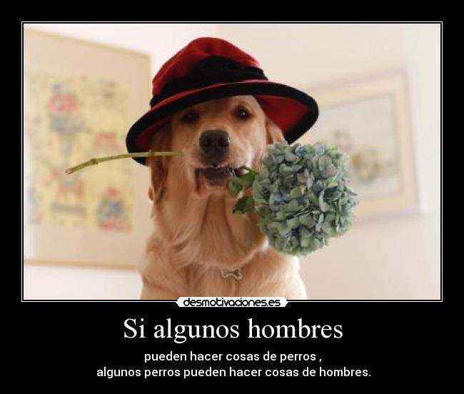 Resultado de imagen de Cosas de perros