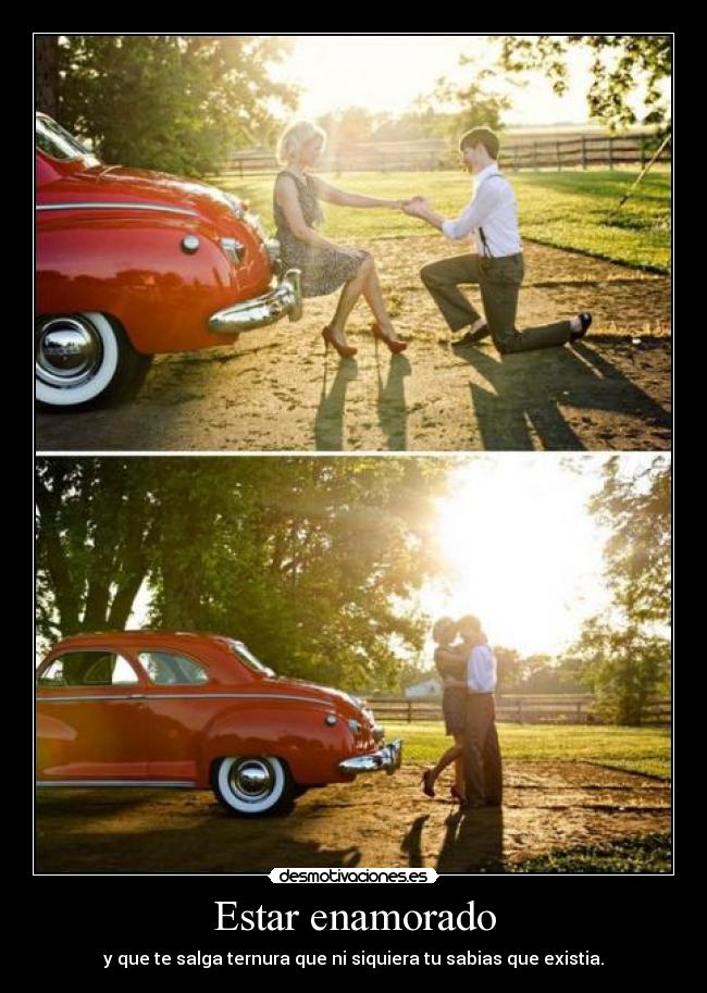 carteles enamorado amor ternura salir sabias existir desmotivaciones