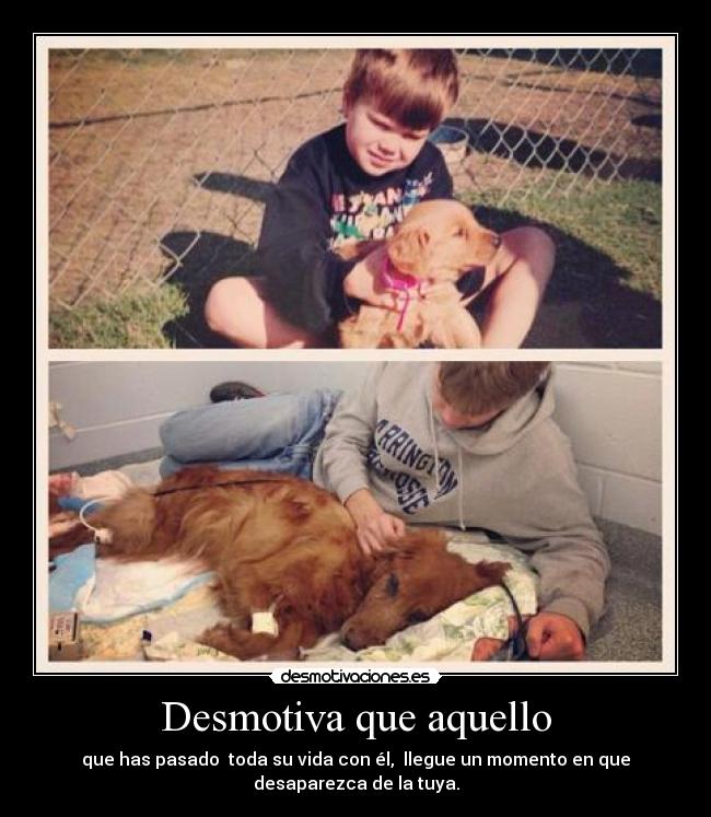 carteles penita desmotivaciones